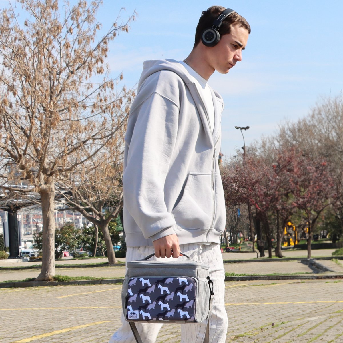 Biggdesign Dogs Insulated Bag, Grey