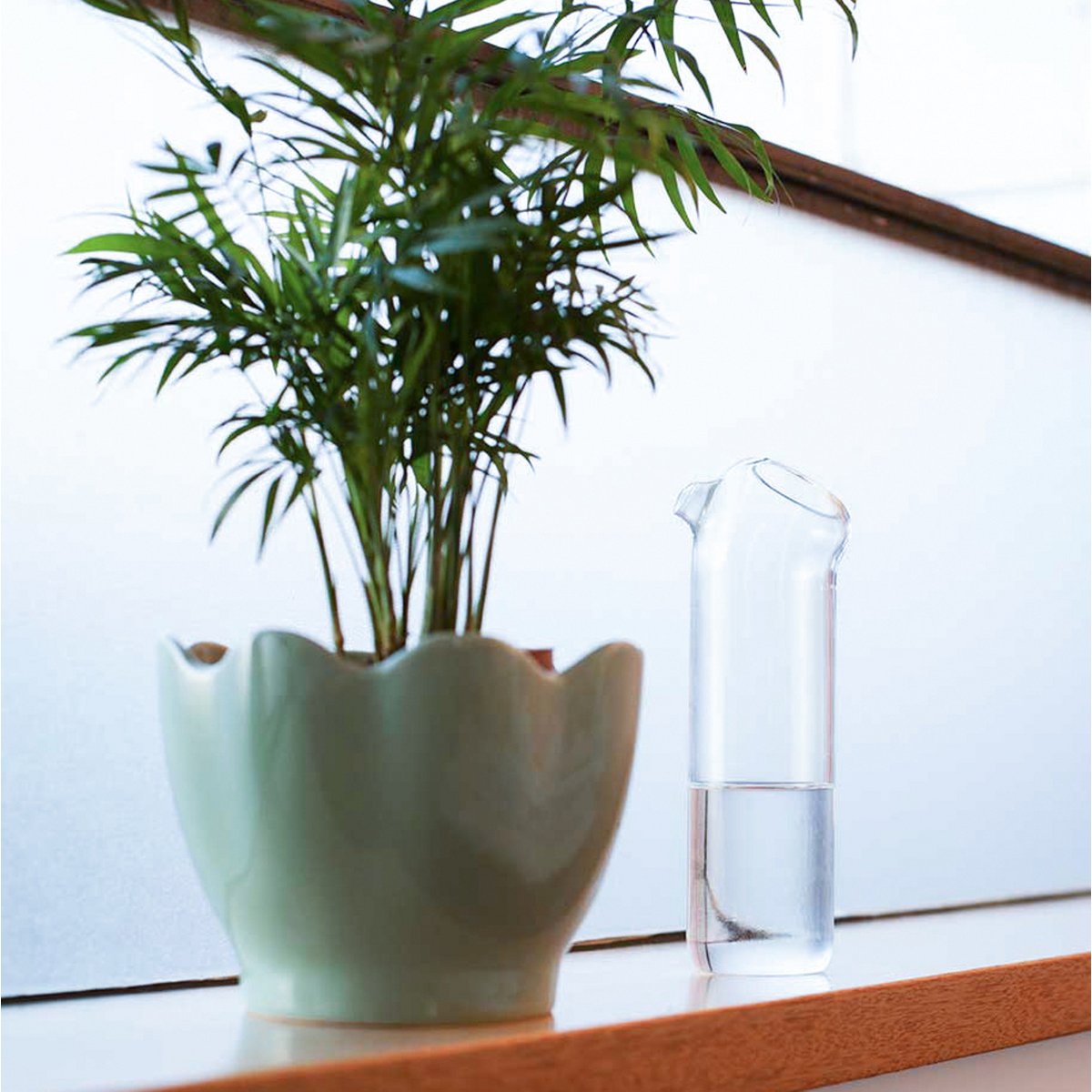 Plant Buddy - Design watering can made of glass