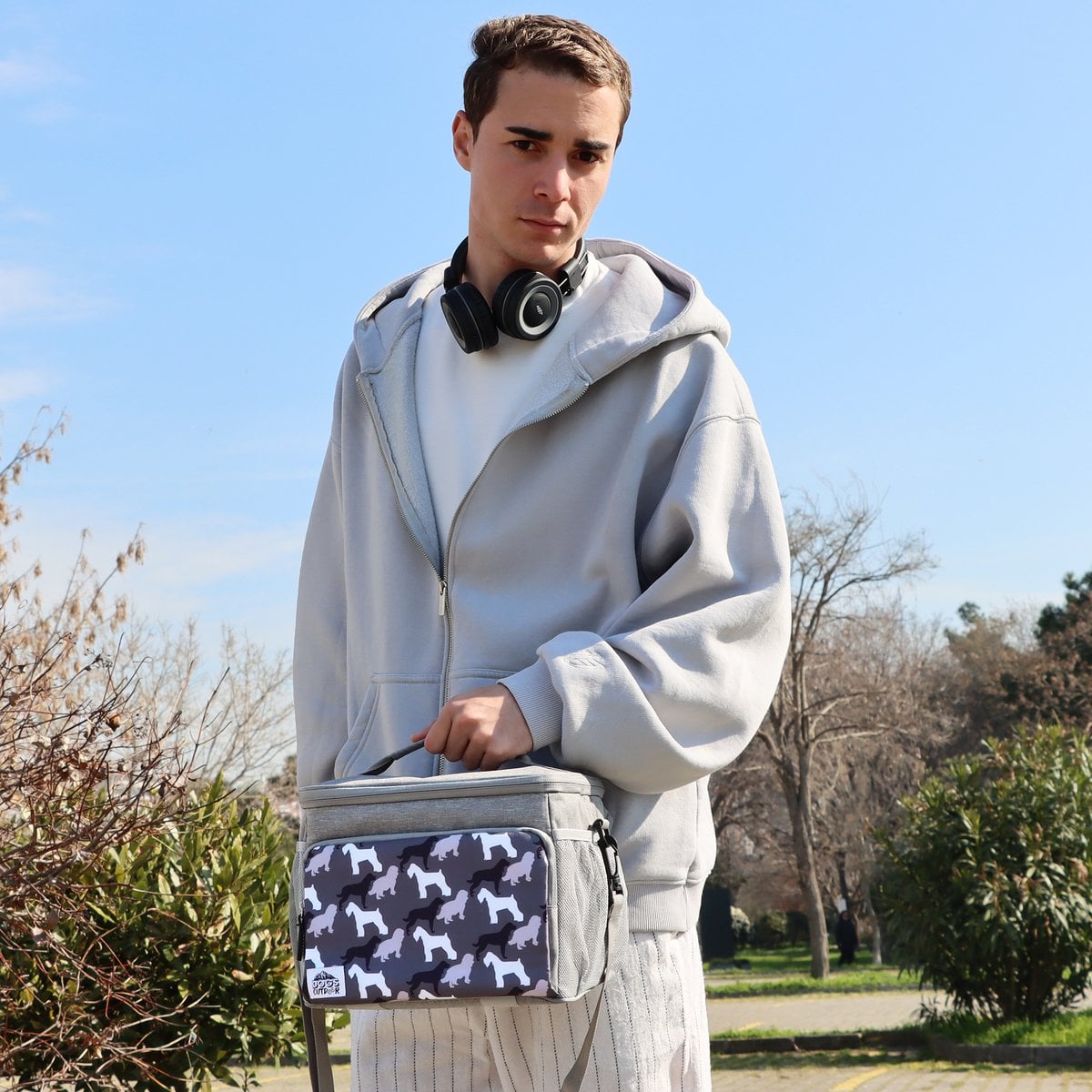 Biggdesign Dogs Insulated Bag, Grey