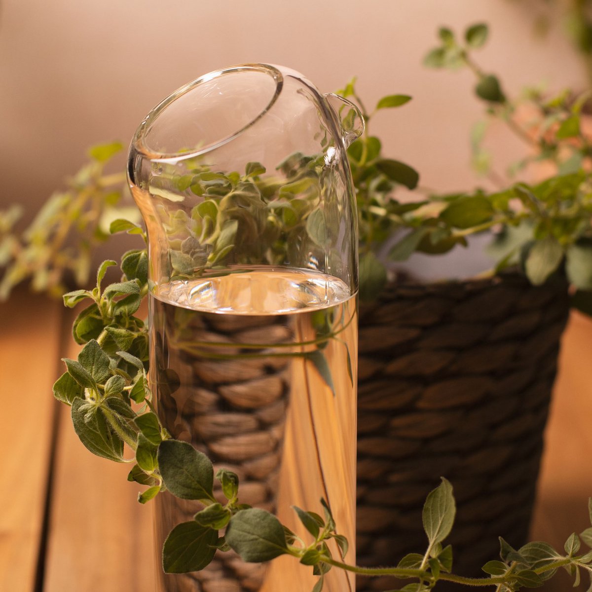 Plant Buddy - Design watering can made of glass
