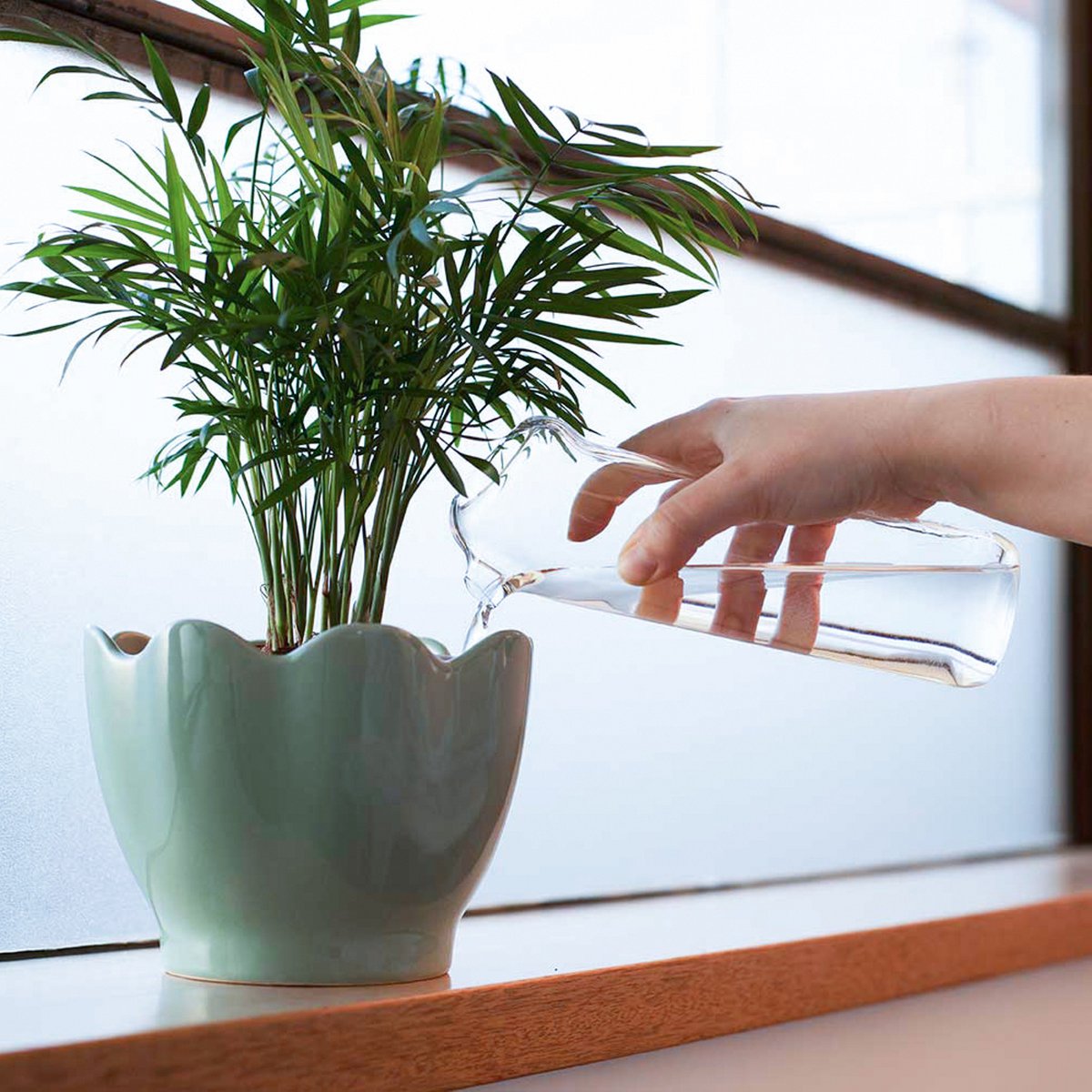 Plant Buddy - Design watering can made of glass