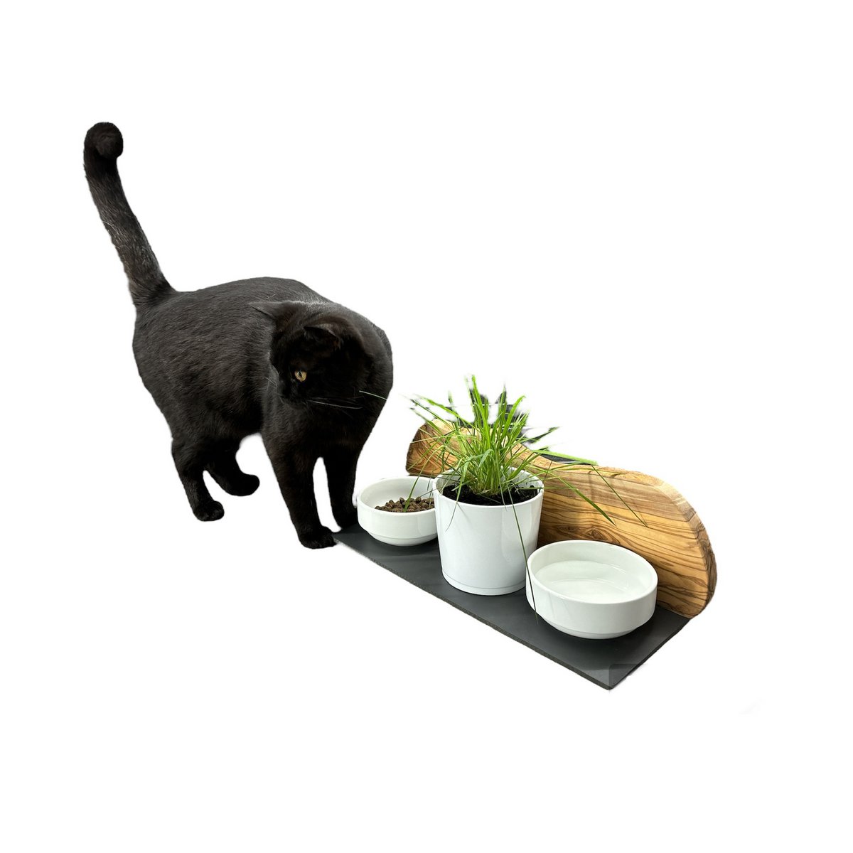 MOUNTAIN feeding station 2x 0.4 liter porcelain bowls plus pot for cat grass olive wood