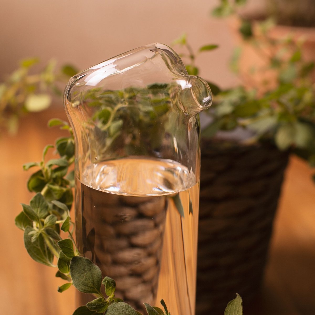Plant Buddy - Design watering can made of glass