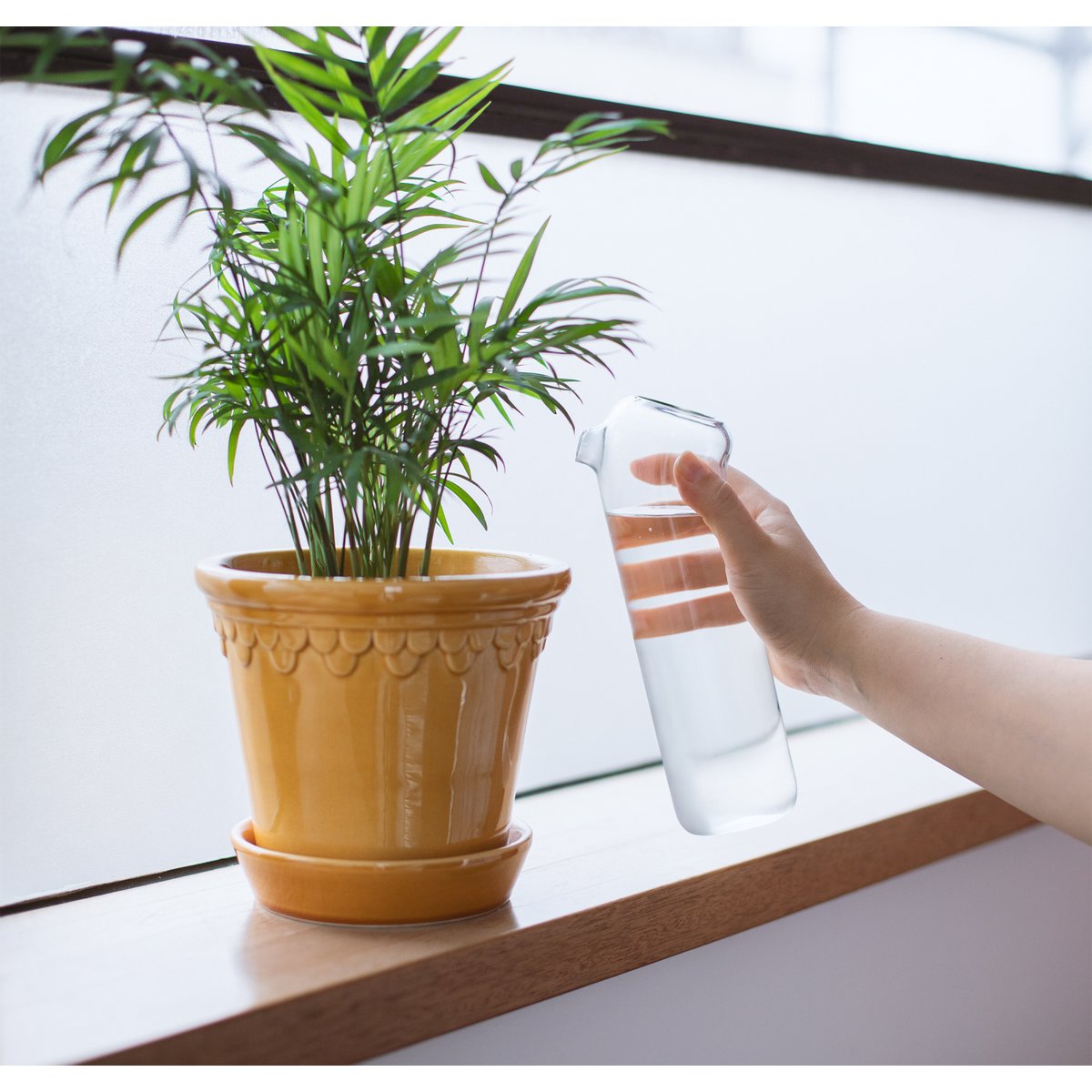 Plant Buddy - Design watering can made of glass
