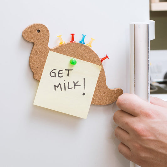 Magnetic Cork Notice Board - Dinosaurs
