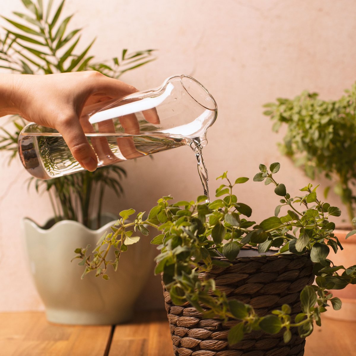 Plant Buddy - Design watering can made of glass