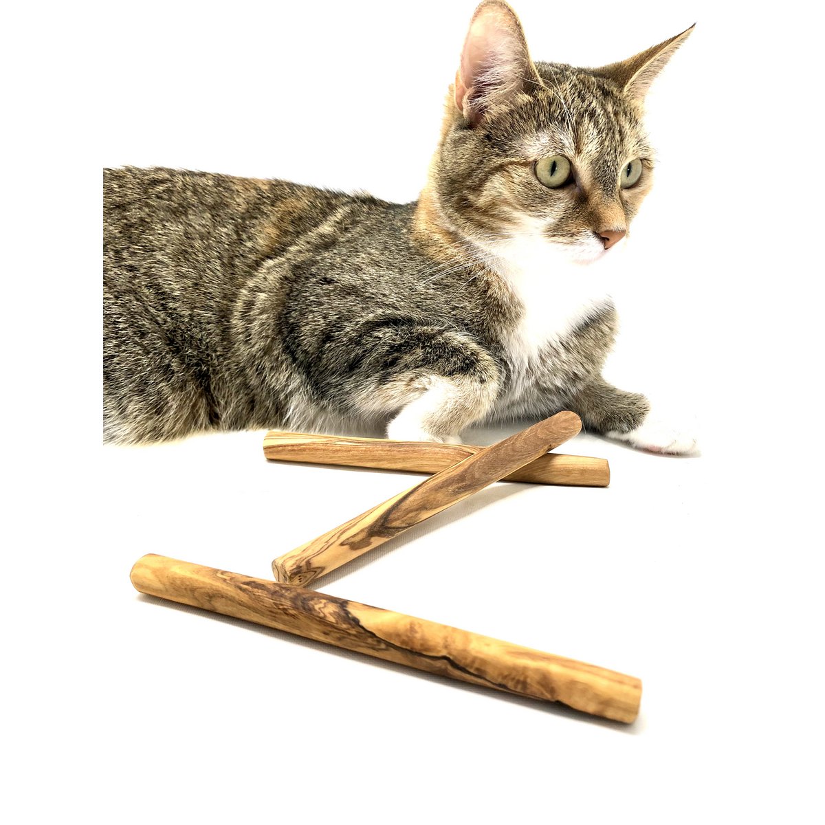 Olive wood chewing bones for small dogs or cats (set of 3)
