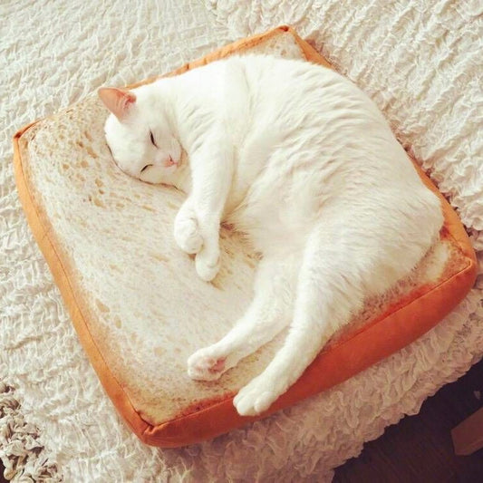 Coussin pour Chat Design Toast
