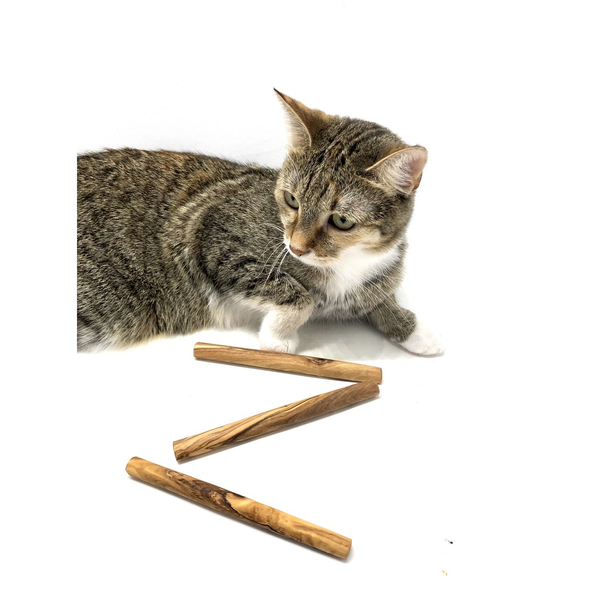 Olive wood chewing bones for small dogs or cats (set of 3)