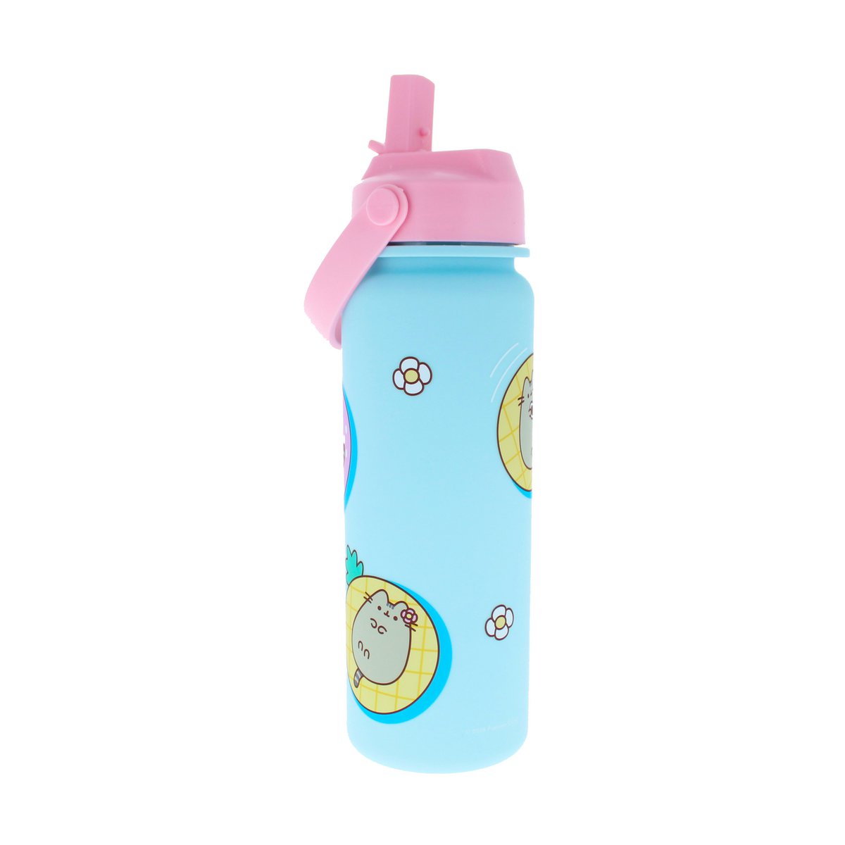Pusheen - Drinking bottle (750ml)